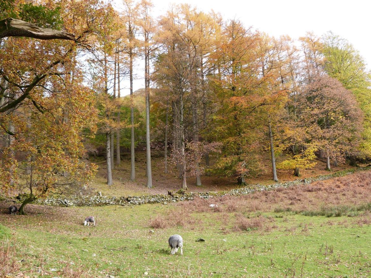 Hazel - Woodland Cottages Bowness-on-Windermere Extérieur photo