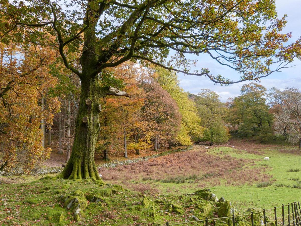 Hazel - Woodland Cottages Bowness-on-Windermere Extérieur photo